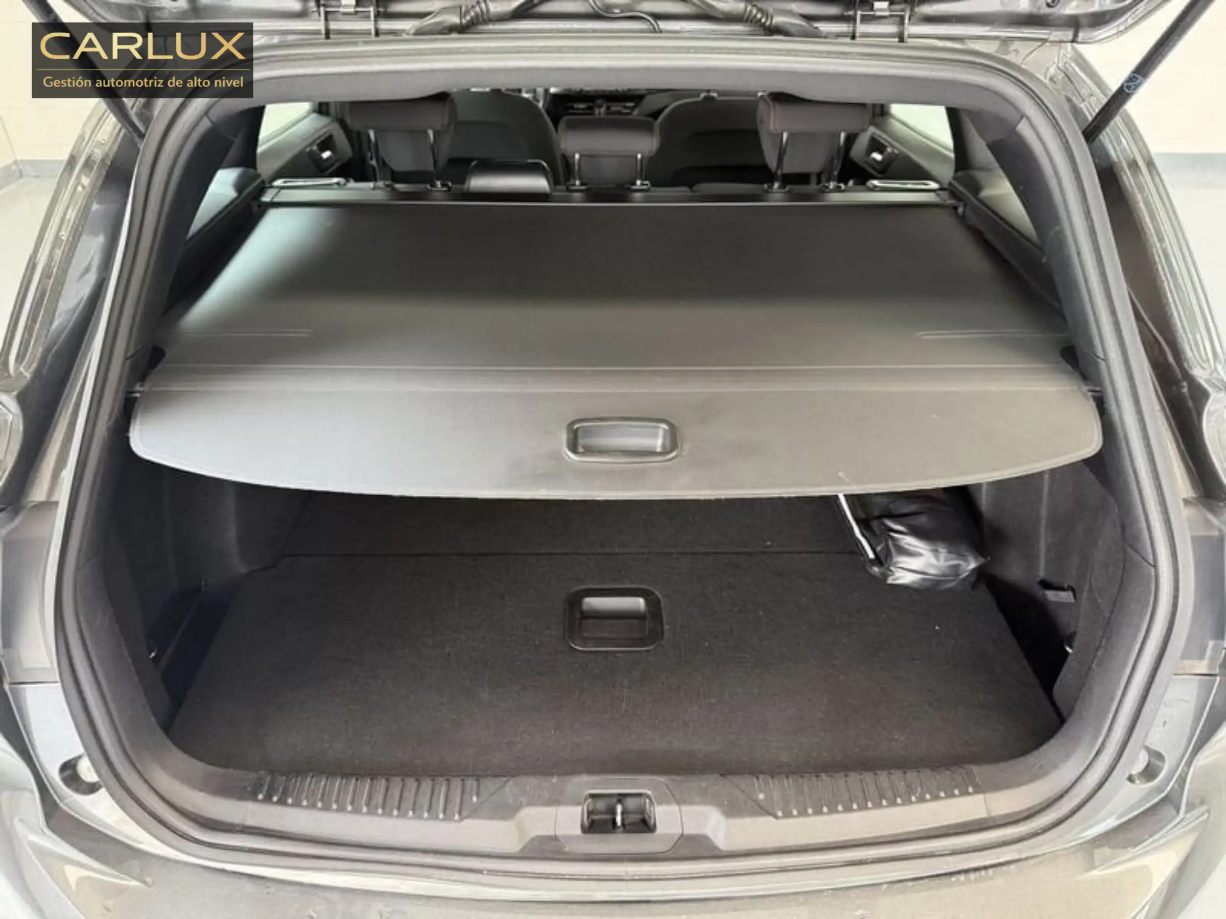 Ford  Focus 2.3 Ecoboost  - Miniatura 13